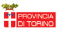 Provincia Torino