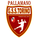 Pallamano