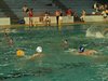 Campionato di nuoto e pallanuoto 13-06-09 394