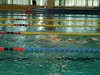 Campionato di nuoto e pallanuoto 13-06-09 122