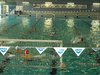 Campionato di nuoto e pallanuoto 14-06-09 165