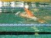 Campionato di nuoto e pallanuoto 14-06-09 059