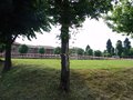DSC02952