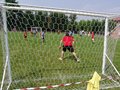 DSC03118