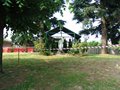 DSC02950
