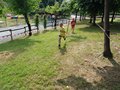 DSC02981