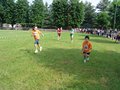 DSC02984