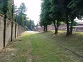 DSC02953