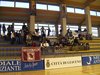 bello mio 066