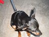 DSCN0084