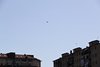 IMG_0084