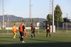 IMG_0589