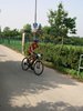DSC00988