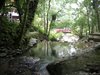 IMGP1629