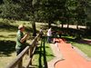 DSC00342
