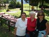 DSC00353