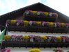 DSC00327