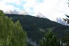IMG_0317