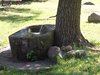 DSCN0279