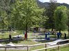 DSCN0310