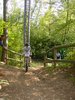DSC00029