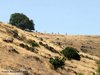 WDCC_6_015