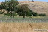 WDCC_6_024