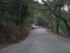 WDCC_1_040