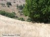 WDCC_6_031