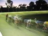 WDCC_5_066