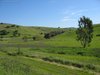 WDCC_1_037