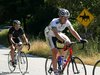 WDCC_7_067_PAM_MEADOWS