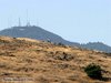 WDCC_6_012