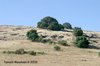 WDCC_6_001