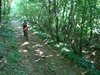 DSC02794