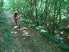 DSC02797