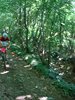 DSC02785