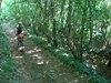 DSC02800