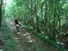 DSC02804