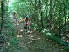 DSC02796