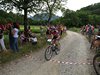 mountain bike 353