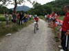 mountain bike 343