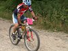 mountain bike 323