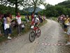 mountain bike 354