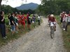 mountain bike 364