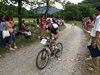 mountain bike 355