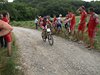mountain bike 371