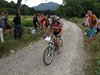 mountain bike 363
