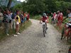 mountain bike 352