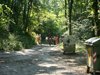 DSC00612